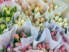 -循礼门鲜花花市(武汉循礼门店)