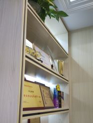 点击看大图 -碧莲盛·不剃发植发