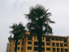 -南京苏宁环球大酒店(桥北店)