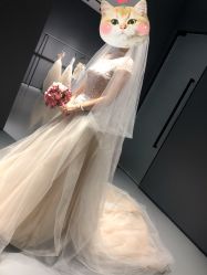 -Vera Wang婚纱礼服旗舰店