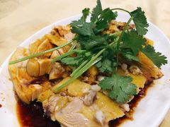 白切鸡-电白鸭粥店(下沙二坊88号店)