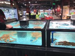 -中百生活剧场(泛海城市广场店)