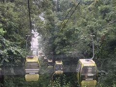 -黔灵山公园