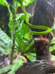 -酷嗒动物文化乐园(cutezoo西溪乐天城店)