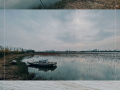 -东丽湖风景区