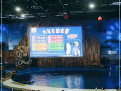 -华夏文旅海洋公园