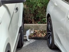 -华中科技大学同济医学院附属同济医院(汉口院区)