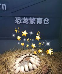 -恐龙探索乐园(磁器口店)