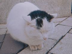 -荆楚味道(湖北大厦店)