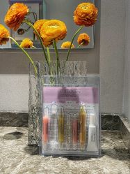 -三只熊皮肤管理中心旗舰店