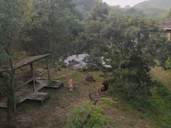 -石家庄市动物园