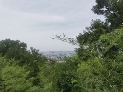 -千佛山风景名胜区