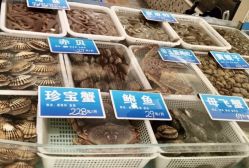 -双井轩·宴会厅