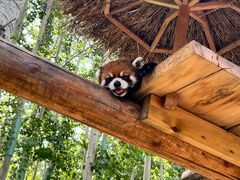 -北京野生动物园