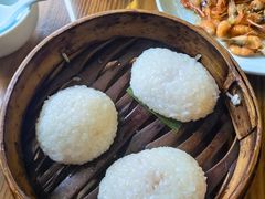 茨毛圆子-双塔老饭店