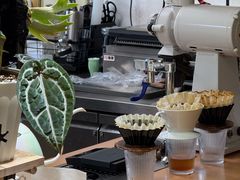 -本無咖啡·BeanWood Coffee
