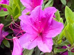 -狼山风景名胜区