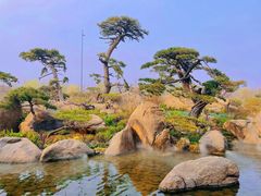 -罗红摄影艺术馆