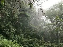 -王顺山国家森林公园