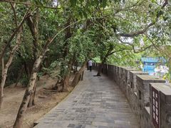 -房湖公园