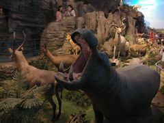 -陕西自然博物馆