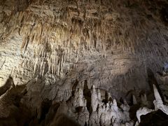 -怀托摩萤火虫洞