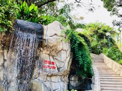 -九龙公园