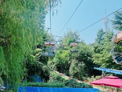 -富斯特索道