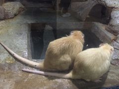 -福州罗源湾海洋世界旅游区