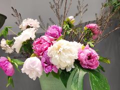 -上海辰山植物园