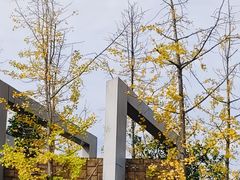 -洋湖国家湿地公园