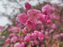 -南京市江宁方山