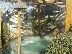 -仁爱团泊湖温泉中心