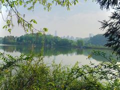 -观山湖公园