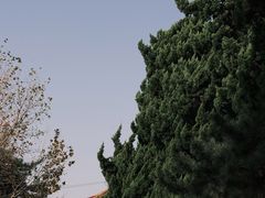 -八大关景区