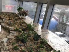 -美联众合动物医院·24h转诊中心