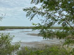 -北海金海湾红树林生态旅游区