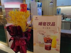 -春丽小马(济南恒隆广场店)