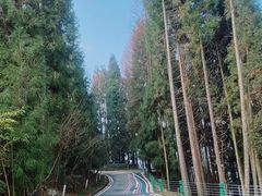 -太阳湾风景区