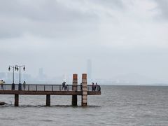 -深圳湾公园(南山区)