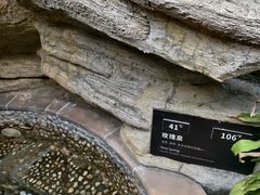 -海口观澜湖火山温泉谷