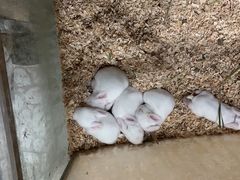 -上海大自然野生昆虫馆