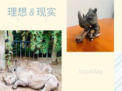 -北京动物园
