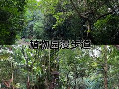 -深圳仙湖植物园