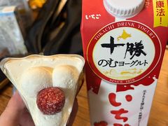 -札幌电视塔