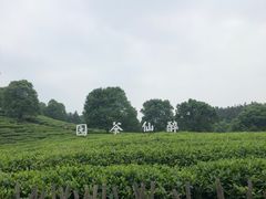 -酒仙湖景区