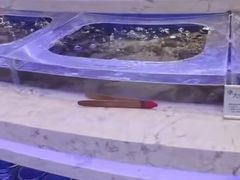 -澜悦港海鲜体验主题餐厅