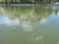 -宗角禄康公园