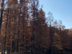 -青龙山国家森林公园
