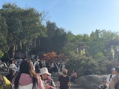 -云龙山